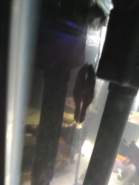 IMG_20201205_202325395.jpg