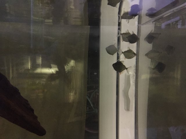 8C0D7692-2D5A-4621-A139-1B952298CC81.jpeg