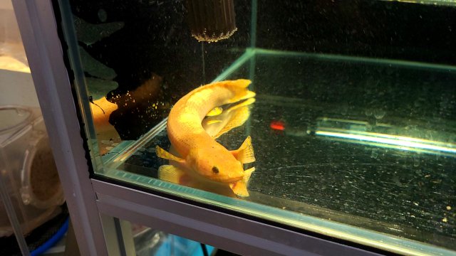 20201207_114518.jpg
