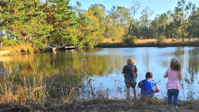 Pond Monsters.jpg Pond Monsters.jpg