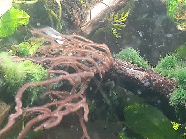 20201207_171154.jpg
