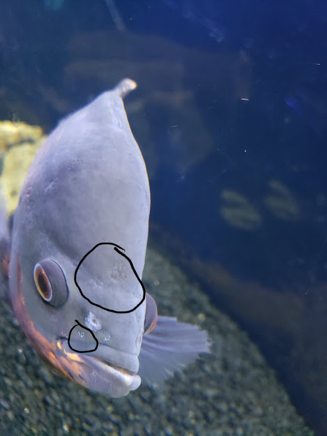 1607396169711.png