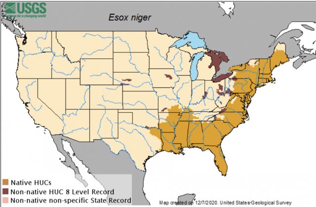 80182711-9BDF-4829-9812-63137B350A22.jpeg 80182711-9BDF-4829-9812-63137B350A22.jpeg