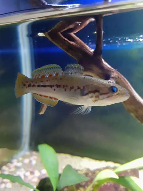 20201206_103141.jpg