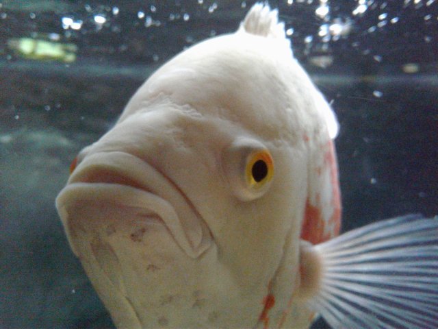 20180718_161743_01.jpg