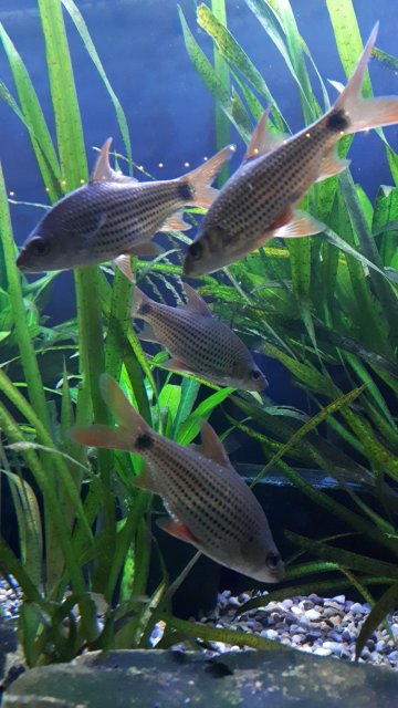 20201208_203821.jpg 20201208_203821.jpg