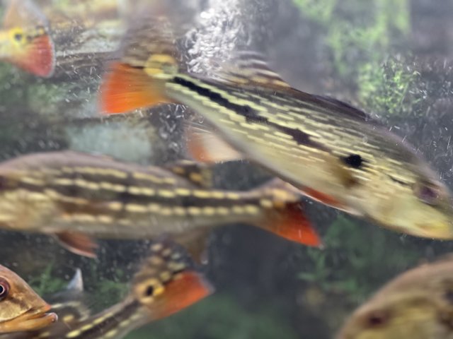 457DB883-80F1-4674-90FB-80BF78EE6389.jpeg