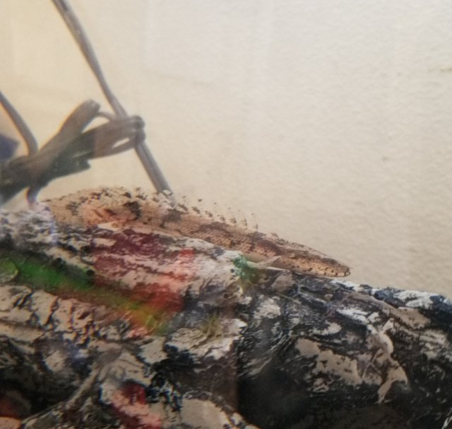 20201208_125950.jpg