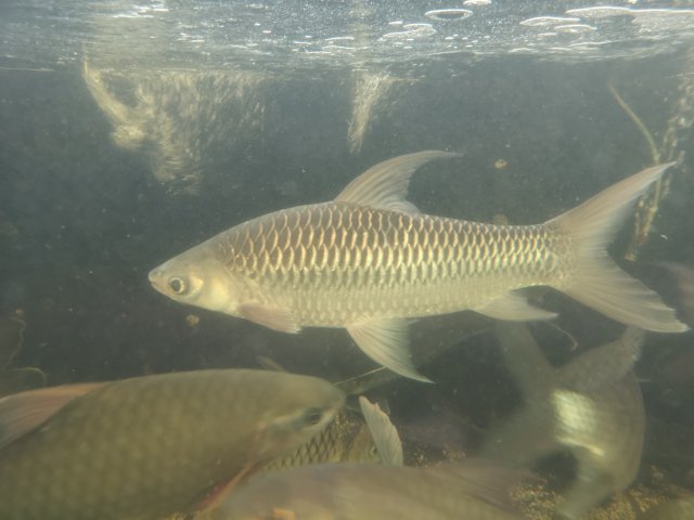 IMG_20201209_105148.jpg