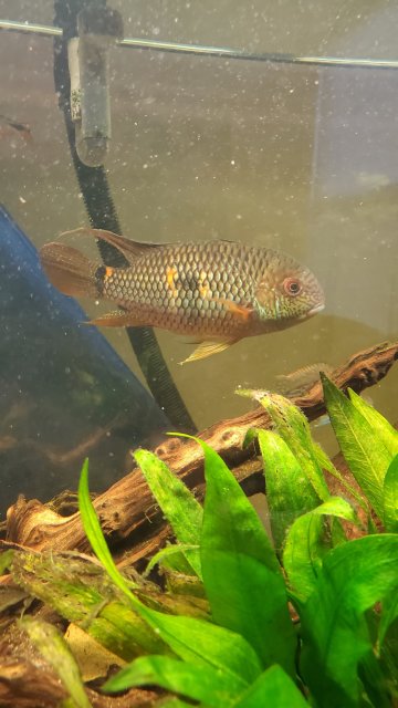 20201210_161311.jpg 20201210_161311.jpg