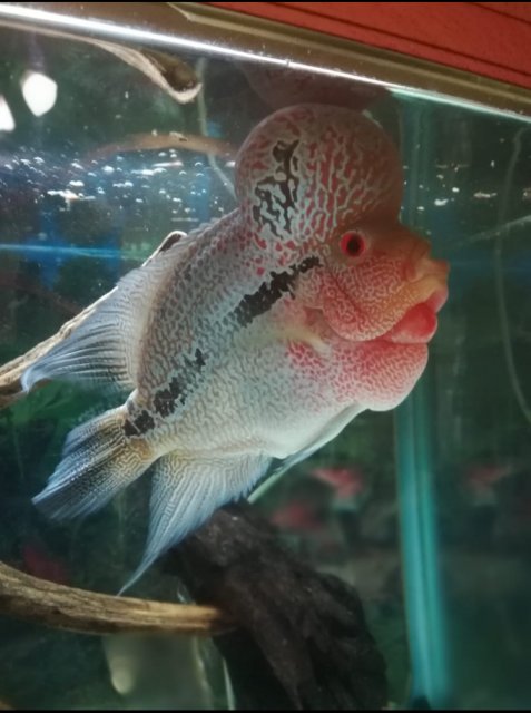 IMG_E9256.JPG IMG_E9256.JPG