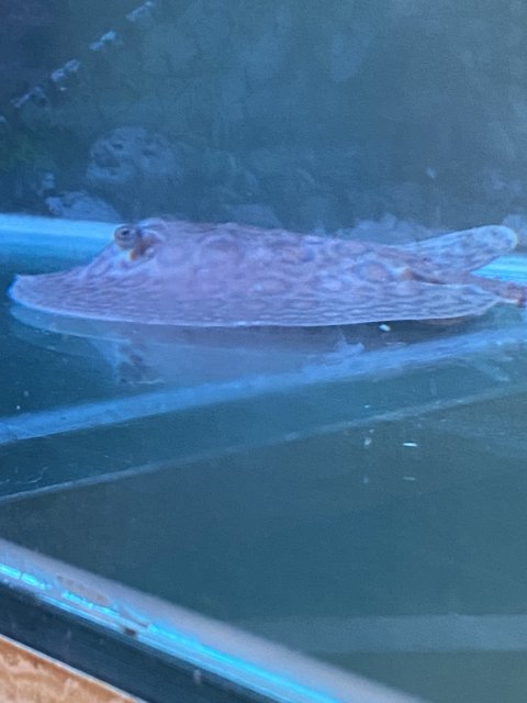 BD24B429-CFE0-4E56-85B0-0CF11B7630BD.jpeg BD24B429-CFE0-4E56-85B0-0CF11B7630BD.jpeg