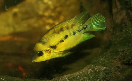 1607719568404.png 1607719568404.png