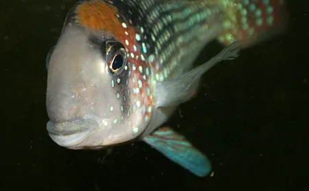 1607719693333.png 1607719693333.png