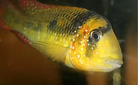 1607773382672.png 1607773382672.png