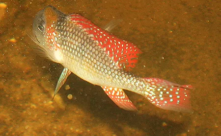 1607773481314.png 1607773481314.png