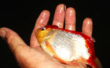 1607853579921.png 1607853579921.png