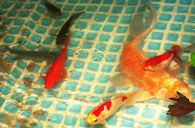 1607854024230.png 1607854024230.png