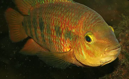 1607880236620.png 1607880236620.png