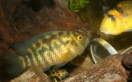 1607880531107.png 1607880531107.png