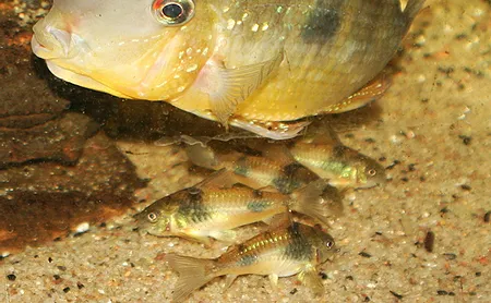 1607880657566.png 1607880657566.png