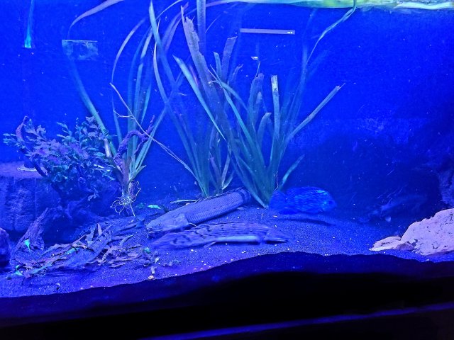 20201213_003559.jpg