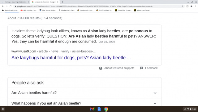Screenshot 2020-12-13 at 7.38.53 PM.png