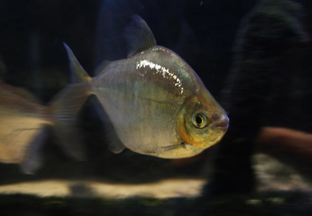 0-2 copy.jpg 0-2 copy.jpg