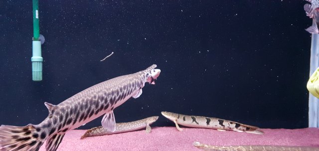 20191216_225447.jpg