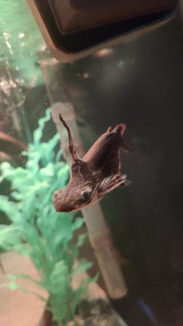 20201215_201340.jpg