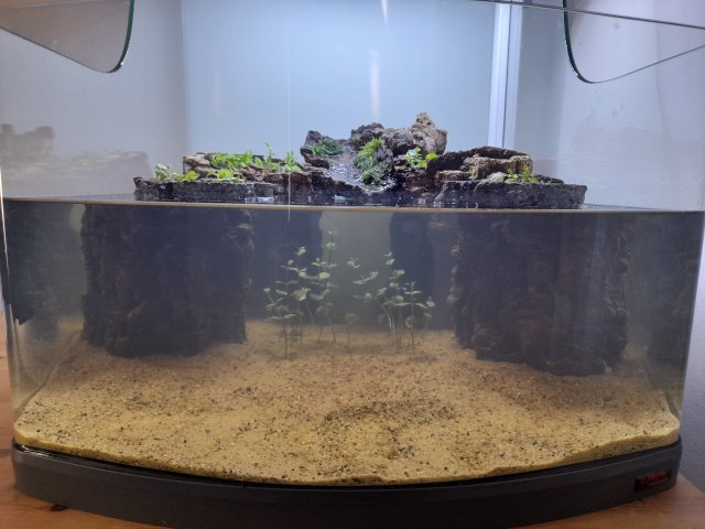 20201220_121919.jpg