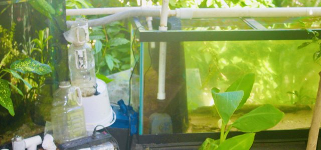 9C8134A2-F71E-46C9-94AD-C6D8A332BC08_1_201_a.jpeg 9C8134A2-F71E-46C9-94AD-C6D8A332BC08_1_201_a.jpeg