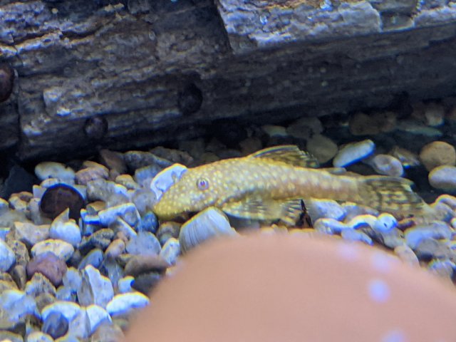 PXL_20201221_221408642.jpg
