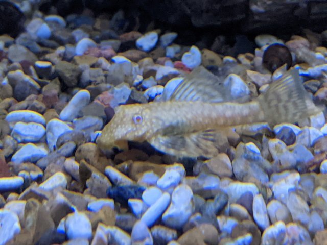 PXL_20201221_221358932.jpg