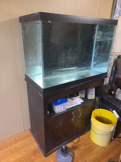 65H Tank2.jpg 65H Tank2.jpg