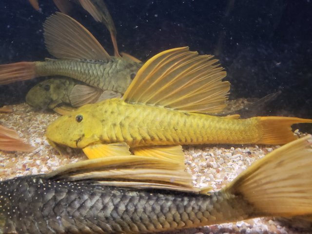 20191018_072737.jpg 20191018_072737.jpg