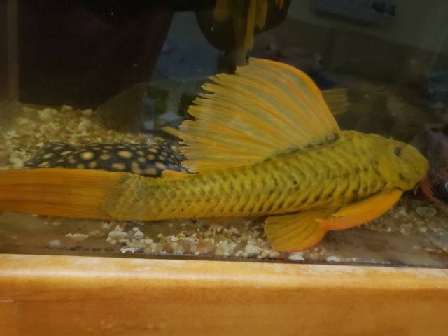 20191018_000341.jpg 20191018_000341.jpg