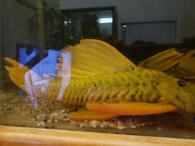 20191017_235605.jpg 20191017_235605.jpg