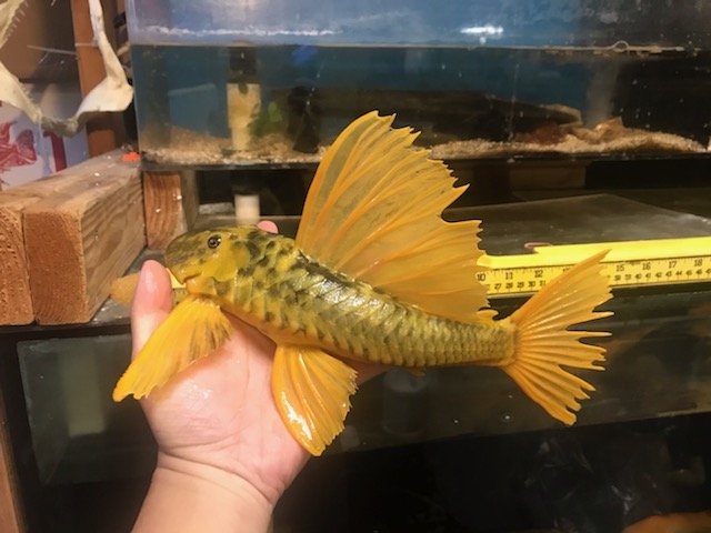 IMG_5704(1).jpg IMG_5704(1).jpg