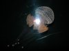 DSCN0402.JPG