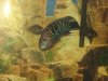 NemahaCountyFishFarm 017.jpg