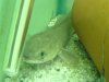 DSC00281.jpg