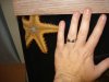 DSC05073.JPG