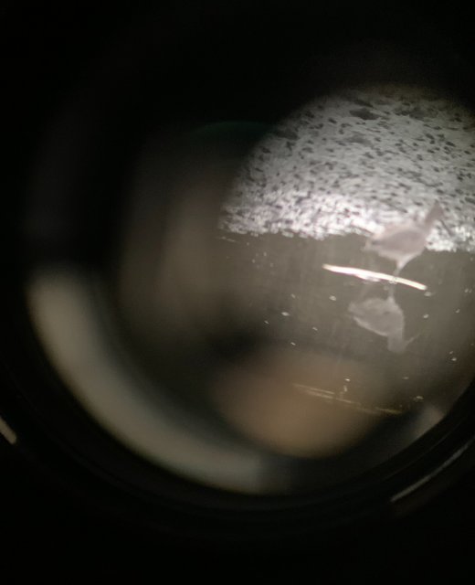 3F18163C-9DEC-422C-A920-4781CE1B0879.jpeg