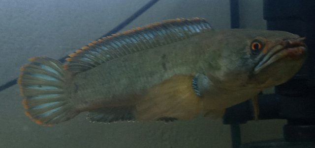 20201226_153505.jpg