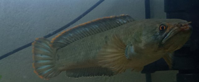 20201226_153515.jpg