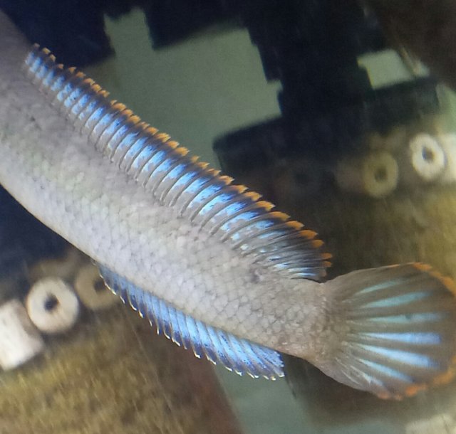 20201226_153615.jpg