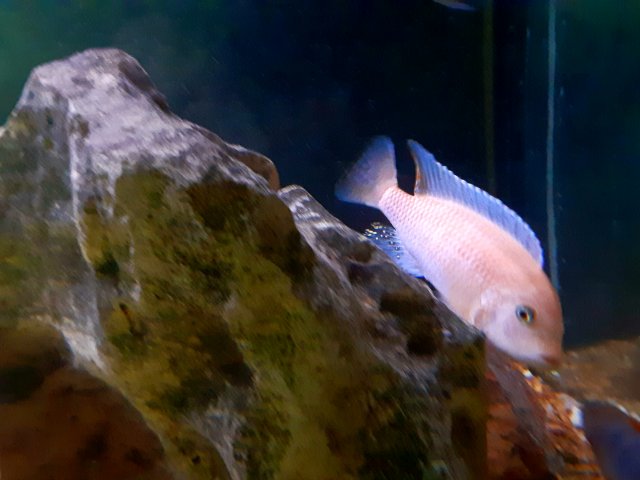 20201218_165636.jpg