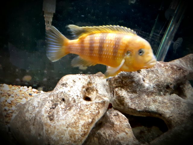 20201218_165527.jpg