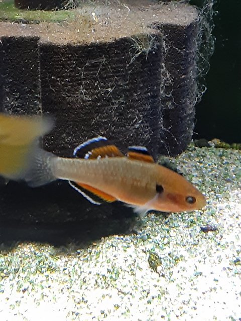 20201220_205856.jpg
